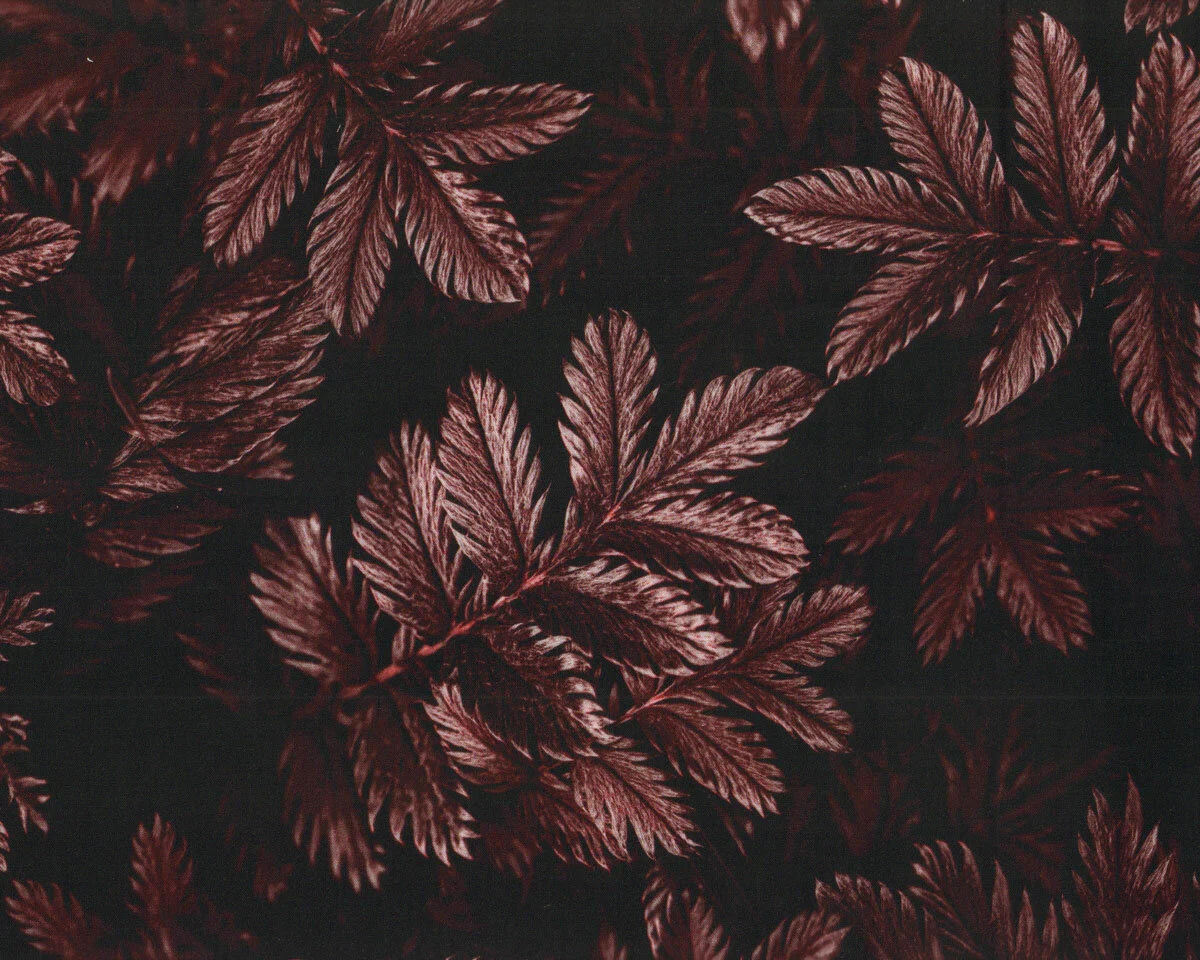 Viskosestoff DARK LEAVES, Blätter, dunkles weinrot, Thorsten Berger