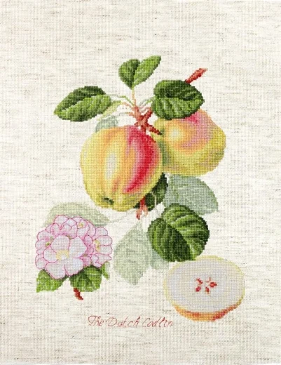 Luca-S - The Pear shaped Quince